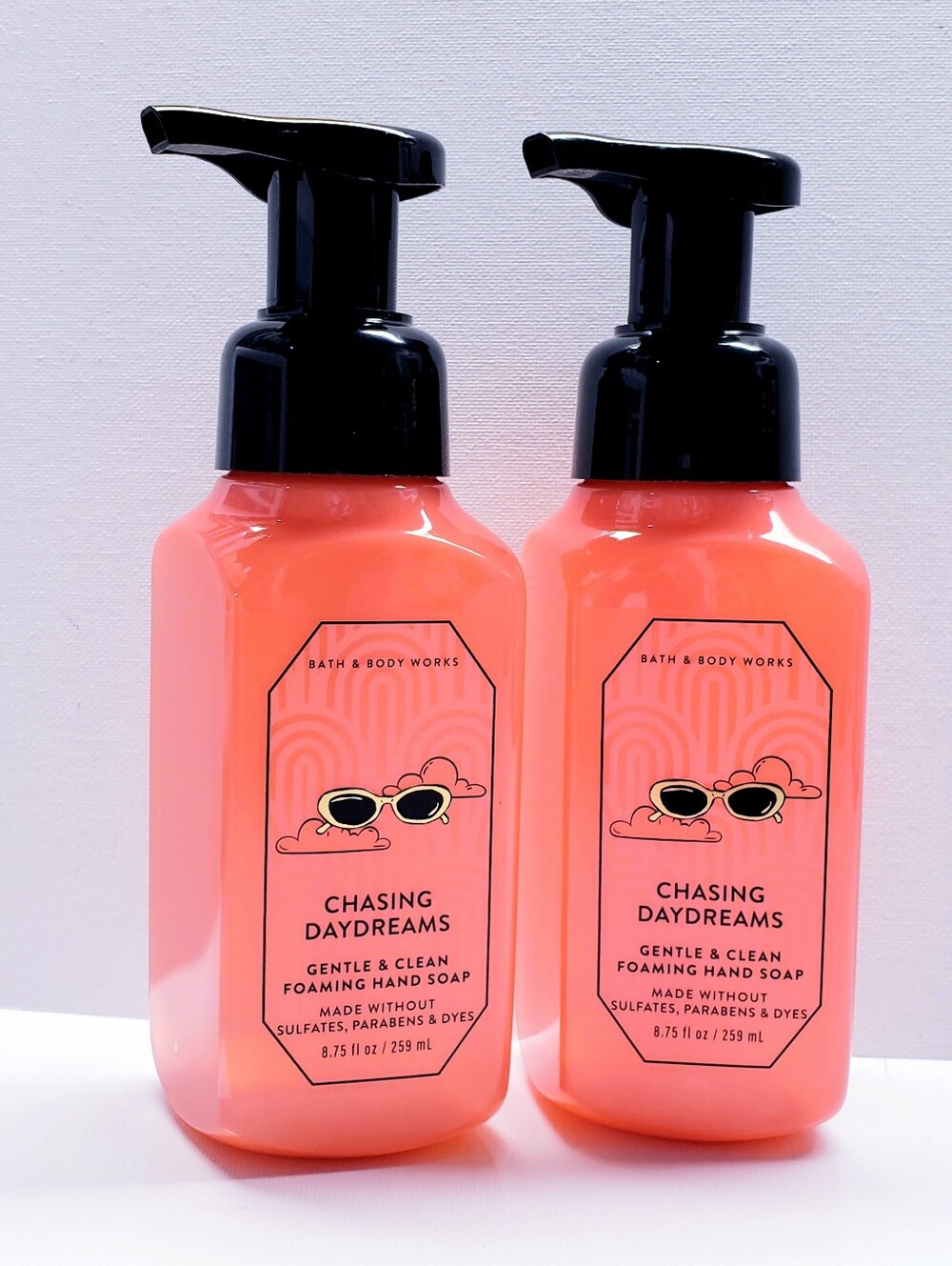 Bath & Body Works CHASING DAYDREAMS Gentle & Clean Foaming Hand Soap (2 Pcs)